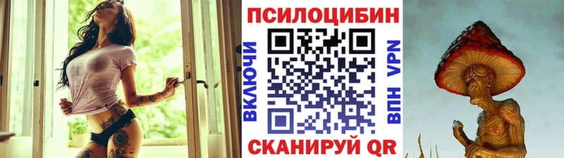 где продают   мега онион  Галлюциногенные грибы мухоморы  Владимир 